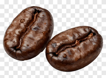 Coffee Beans PNG