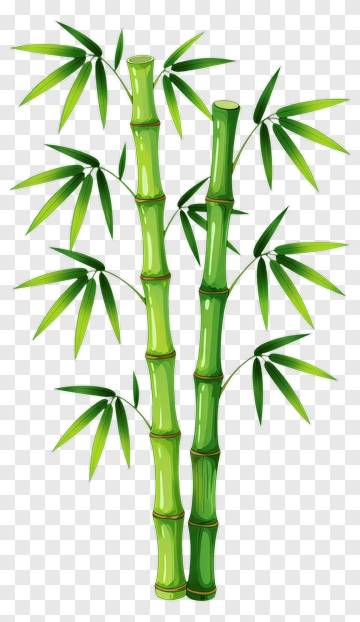 Green Bamboo Stalks PNG