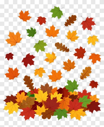 Colorful Autumn Leaves PNG