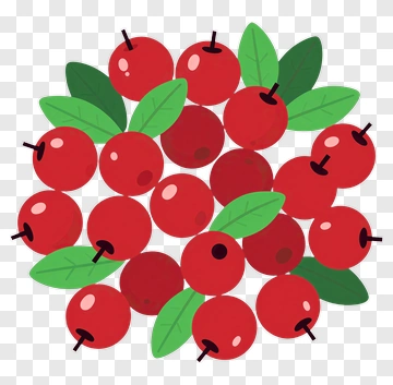 Colorful Red Berries With Green Leaves PNG