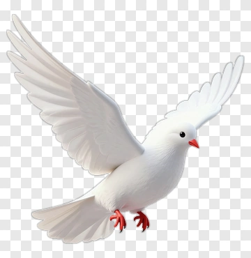 3D White Dove In Flight PNG