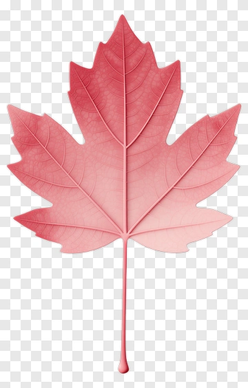 Red Maple Leaf PNG