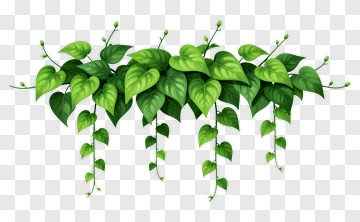 Green Leafy Vines PNG