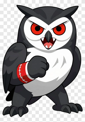 Cartoon Owl With A Determined Expression PNG