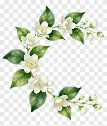 White Flower Arrangement With Green Leaves PNG
