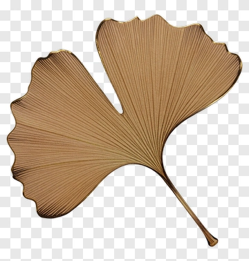 Ginkgo Leaf PNG