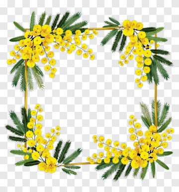 Floral Frame With Yellow Mimosa Flowers PNG