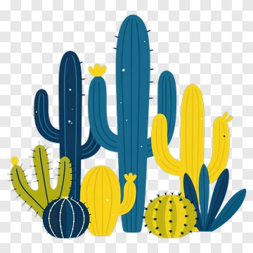Colorful Cacti In Various Shapes PNG
