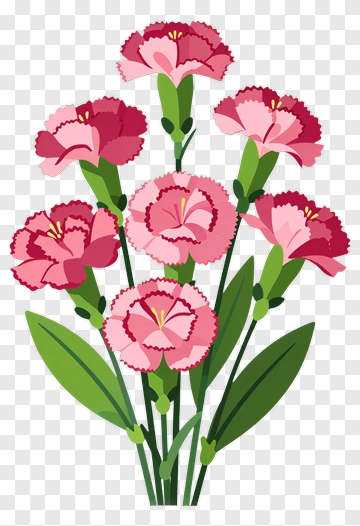 Pink Carnation Flower Bouquet PNG