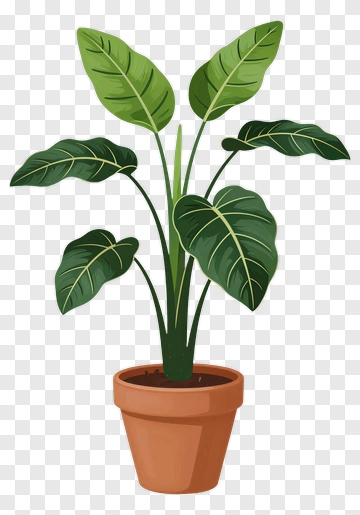 Potted Plant With Large Green Leaves PNG