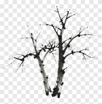 Black And White Tree Composition PNG