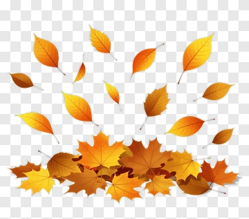 Colorful Autumn Leaves PNG