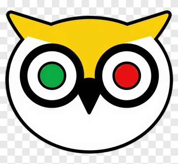 Cartoon Owl Face With Colorful Eyes PNG