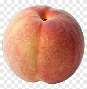Peach Fruit PNG