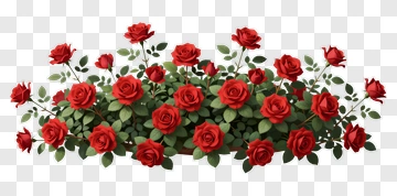 Red Rose Floral Arrangement PNG