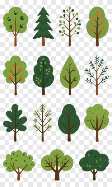 Collection Of Various Trees PNG