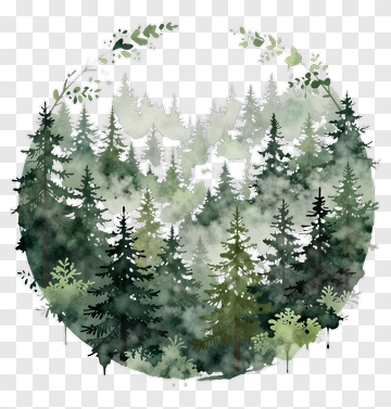 Watercolor Forest Landscape PNG