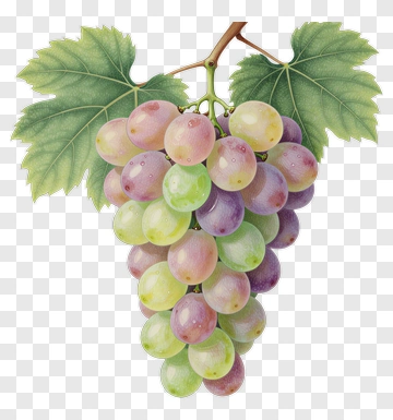 Bunch Of Grapes With Green Leaves PNG