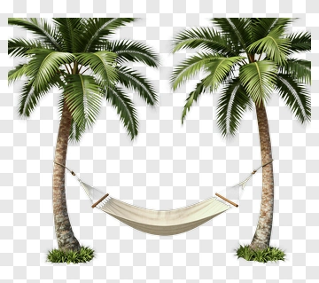 Hammock Between Two Palm Trees PNG