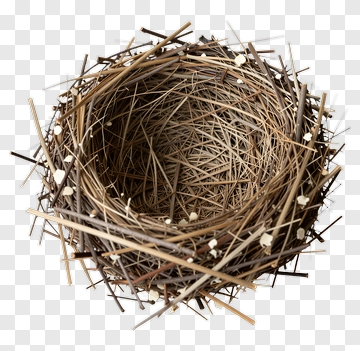 Bird Nest Made Of Twigs And Grass PNG