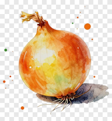 Watercolor Onion PNG