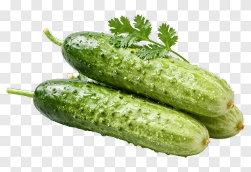 Fresh Cucumbers With Green Leaves PNG