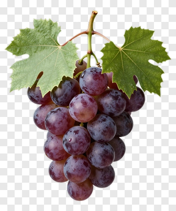 Bunch Of Grapes With Green Leaves PNG