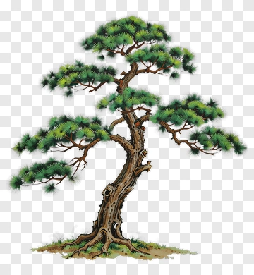 Pine Tree With Green Needles PNG
