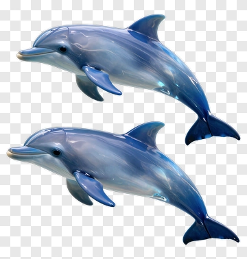 3D Dolphins Swimming Together PNG