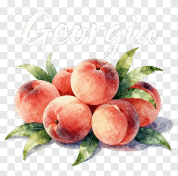 Watercolor Peaches With Georgia Text PNG