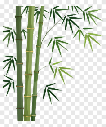 Bamboo Stalks With Green Leaves PNG