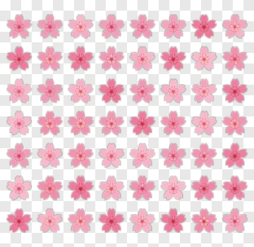 Pink Cherry Blossom Flower Pattern PNG
