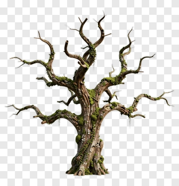 Twisted Tree With Mossy Bark PNG
