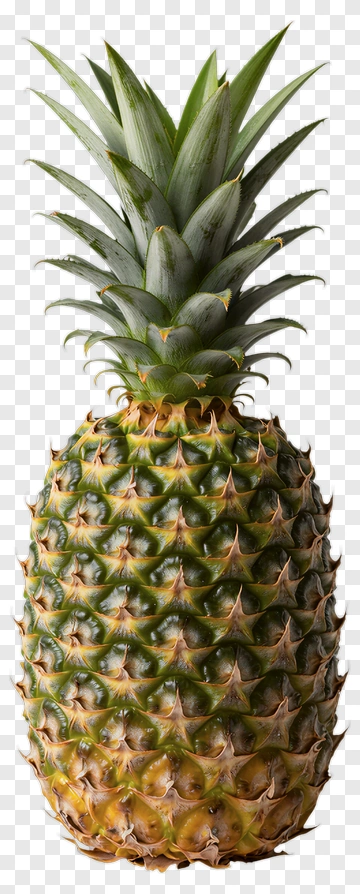 Pineapple PNG
