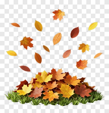 Colorful Autumn Leaves Pile With Falling Leaves PNG