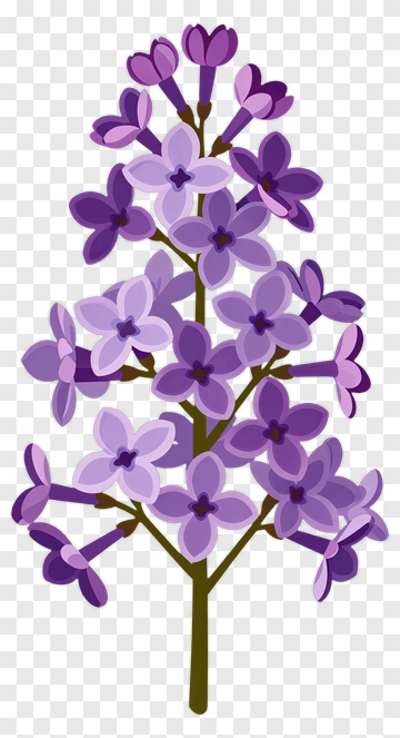 Colorful Lilac Flower Bouquet PNG