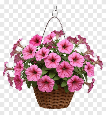 Hanging Flower Basket With Pink Petunias PNG