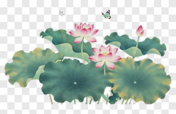 Watercolor Lotus Flowers With Green Leaves PNG
