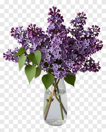 Lilac Flower Bouquet PNG