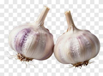 Fresh Garlic Bulbs PNG
