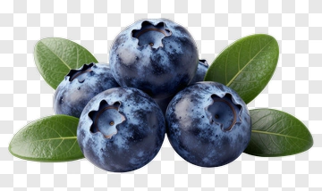 Blueberries With Leaves PNG