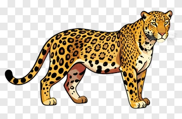 Cartoon Leopard PNG