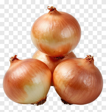 Onion Grouping PNG