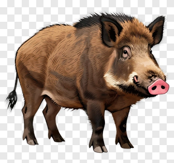 Cartoon Wild Boar PNG