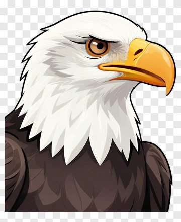 Cartoon Bald Eagle PNG