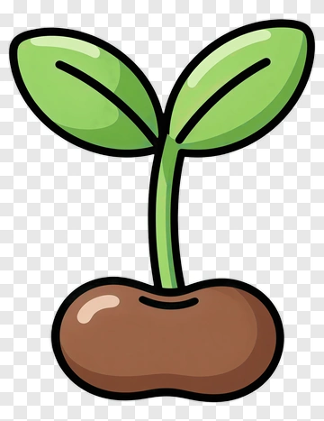 Cartoon Seedling With Green Leaves PNG