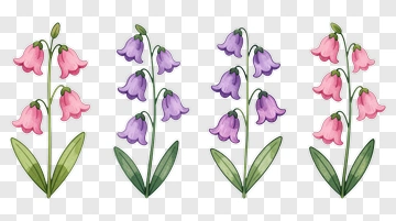 Colorful Bell Flowers Arrangement PNG