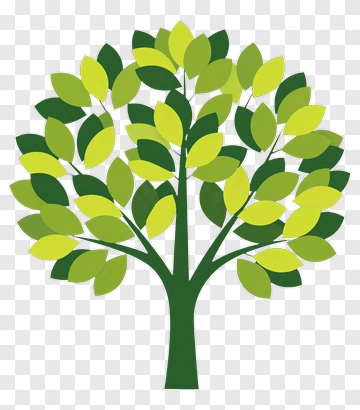 Colorful Tree PNG