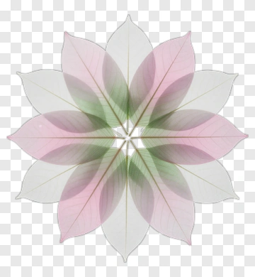 Colorful Leaf Mandala PNG
