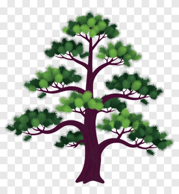 Colorful Tree PNG
